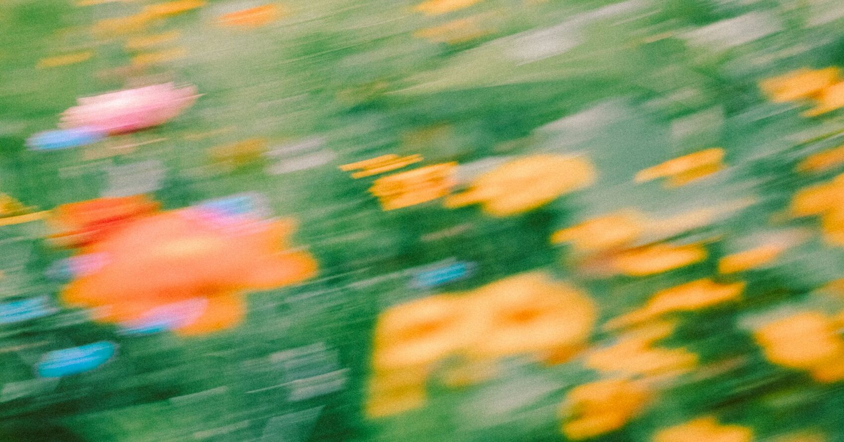 Capture Blur Photo Contest